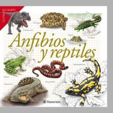 guias de campo - anfibios y reptiles (ebook)-9788434243415