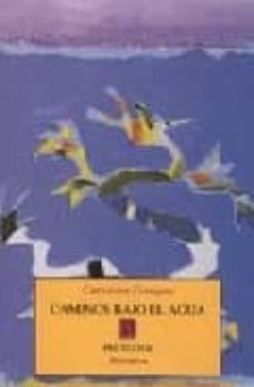 caminos bajo el agua-9788481912715