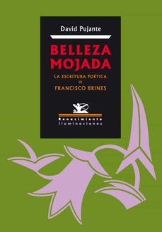 belleza mojada (ebook)-david pujante-9788484729815