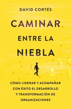 caminar entre la niebla-david cortes gimeno-9788498755015