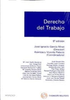 derecho del trabajo (6ª ed)-jose ignacio garcia ninet-9788499038315