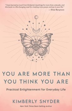 you are more than you think you are (ebook)-kimberly snyder-9781401963125