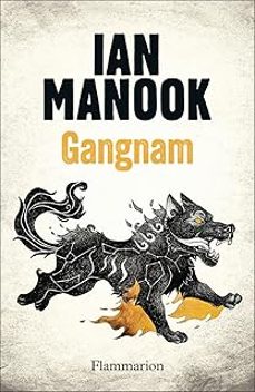 gangnam-ian manook-9782080468925