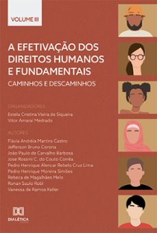 a efetivaço dos direitos humanos e fundamentais (ebook)-estela cristina vieira de siqueira-vitor amaral medrado-9786525269825