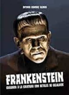 frankenstein: cosiendo a la criatura con retales de celuloide-antonio ramirez blanco-9788412094725
