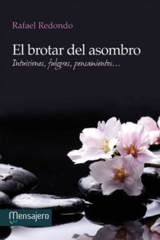 el brotar del asombro (ebook)-rafael redondo-9788427134225
