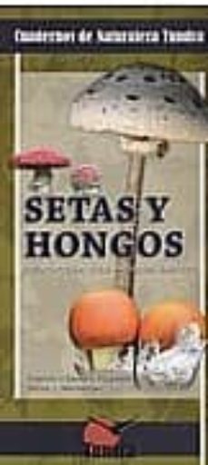 setas y hongos-9788461355525