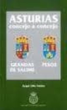 grandas de salime, pesoz. asturias concejo a concejo-angel (eds.) villa valdes-9788487212925