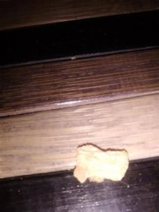 nessuna fede (ebook)-9788829520725