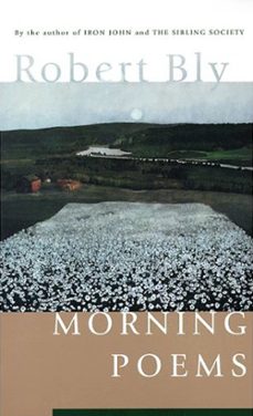 morning poems (ebook)-robert bly-9780061979835