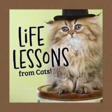 life lessons from cats! (ebook)-grace peterson-9781637416235