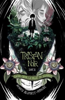 tristan noir - cache-coeur, la ville du bizarre - livre 2 (ebook)-arnaud delporte-fontaine-9782385108335