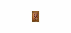 madera y oro: los retablos de santiago de compostela-9788412144635