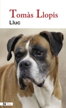 lluc (ebook)-tomas llopis-9788416789535