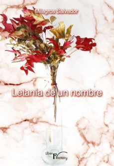 letania de un nombre (ebook)-milagros salvador-9788418170935