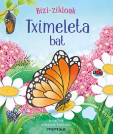 tximeleta bat-lesley sims-9788419696335