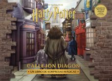 harry potter: diagon alley-9788448045135