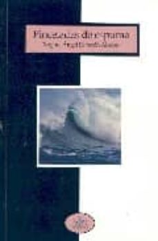 pinceladas de espuma-miguel angel esperon alonso-9788481986235