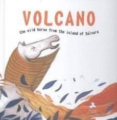 volcano-9788494186035