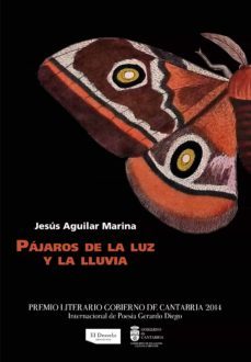 pajaros de la luz y la lluvia (ebook)-9788494398735