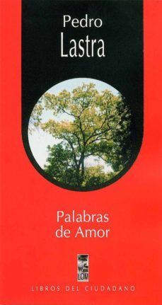 palabras de amor (ebook)-pedro lastra-9789562824835