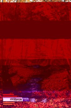 cicatrices de tinta-pedro j. garcia jimenez-9791387951535