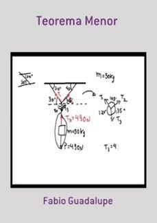 teorema menor (ebook)-fabio guadalupe-3410002367945