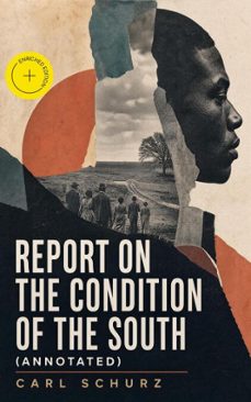 report on the condition of the south (ebook)-4064066060145