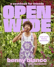 open wide-9780063315945