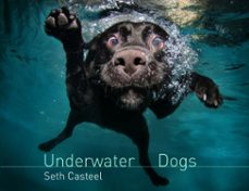 -seth casteel-9780755364145