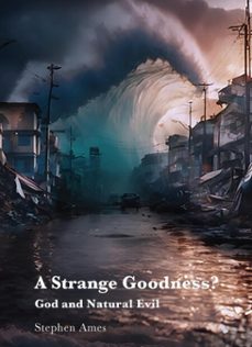 a strange goodness? (ebook)-stephen ames-9781923006645