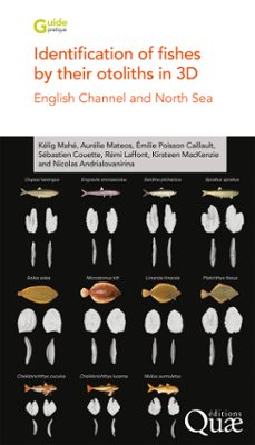 identification of fishes by their otoliths in 3d (ebook)-mahé kélig-aurélie matéos-emilie poisson-caillault-9782759241545