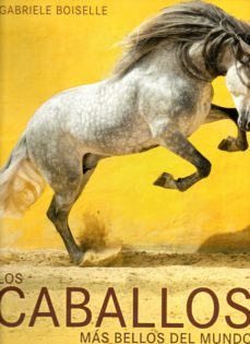 los caballos mas bellos del mundo-gabriele boiselle-9783741920745