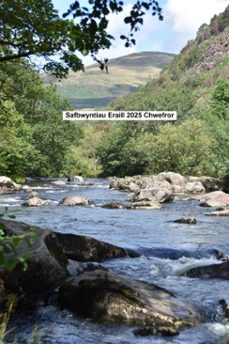 safbwyntiau eraill 2025 chwefror (ebook)-9783755495345