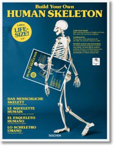 human skeleton-maqueta-9783836572545
