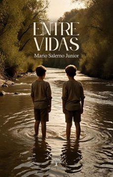 entre vidas (ebook)-mario salerno junior-9786552399045