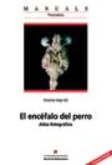 -vicente aige gil-9788449023545
