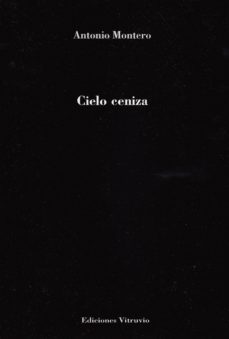 cielo ceniza-9788494489945