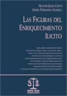 las figuras del enriquecimiento ilicito-j. nestor-9789871087945