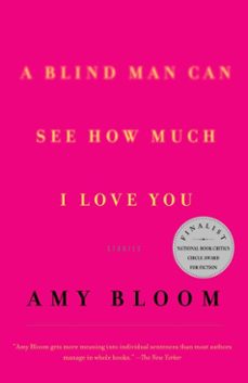 a blind man can see how much i love you (ebook)-amy bloom-9780307417855