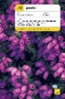teach yourself gaelic (book + cd)-9780340906255