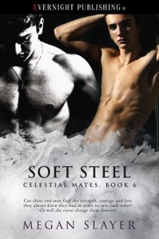soft steel-megan slayer-9780369500755