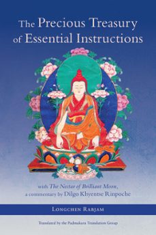 the precious treasury of essential instructions (ebook)-dilgo khyentse-9780834846555