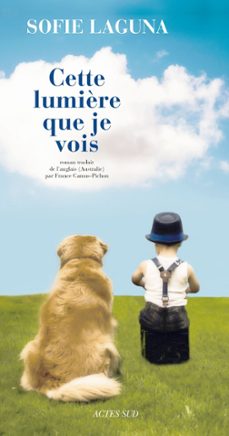 cette lumière que je vois (ebook)-sofie laguna-9782330091255