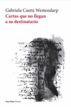 cartas que no llegan a su destinatario (ebook)-gabriela cantu westendarp-9788412519655