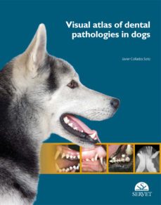 visual atlas of dental pathologies in dogs-javier collados soto-9788416315055