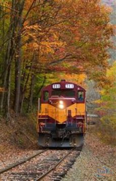 olga de papel 2: jum hecho de oscuridad-elisabetta gnone-9788417128555