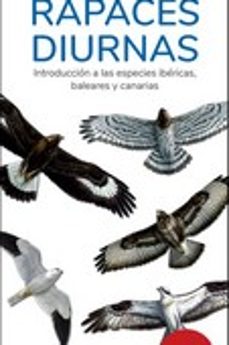 rapaces diurnas 15º edicion - guias desplegables tundra-9788419624055