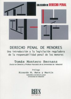 derecho penal de menores.una introduccion a la legislacion reguladora de la responsabilidad penal de menores-9788429027655