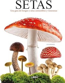 setas-liz o'keefe-9788466244855